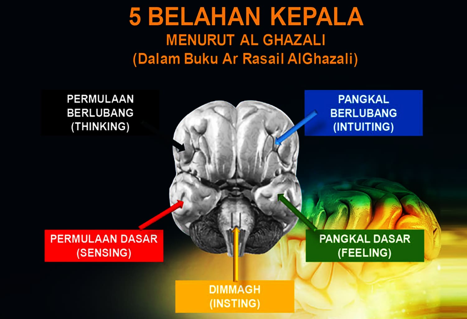 STIFIn Natuna Kenali Dirimu dan Temukan Jalan Hidupmu