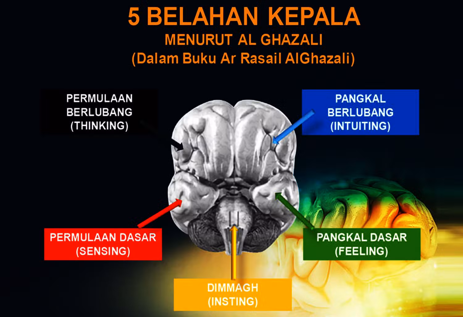 STIFIn Natuna Kenali Dirimu dan Temukan Jalan Hidupmu
